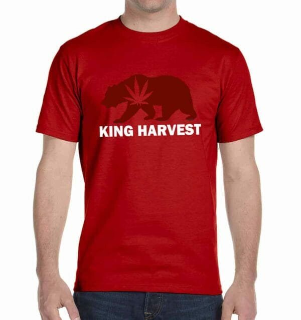 king harvest boys T-shirt