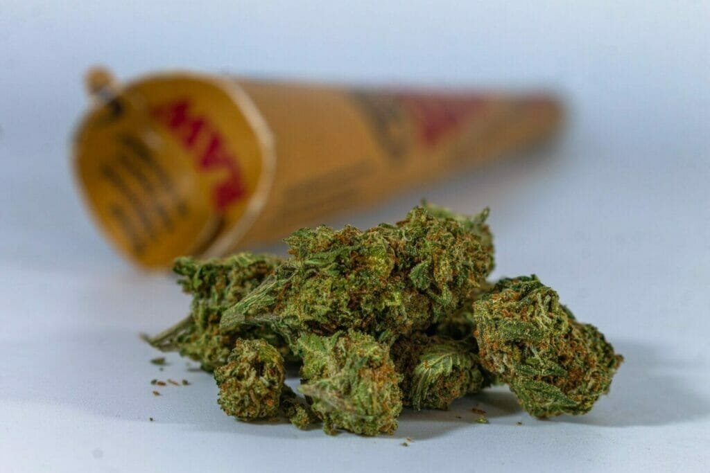 Medical marijuana buds