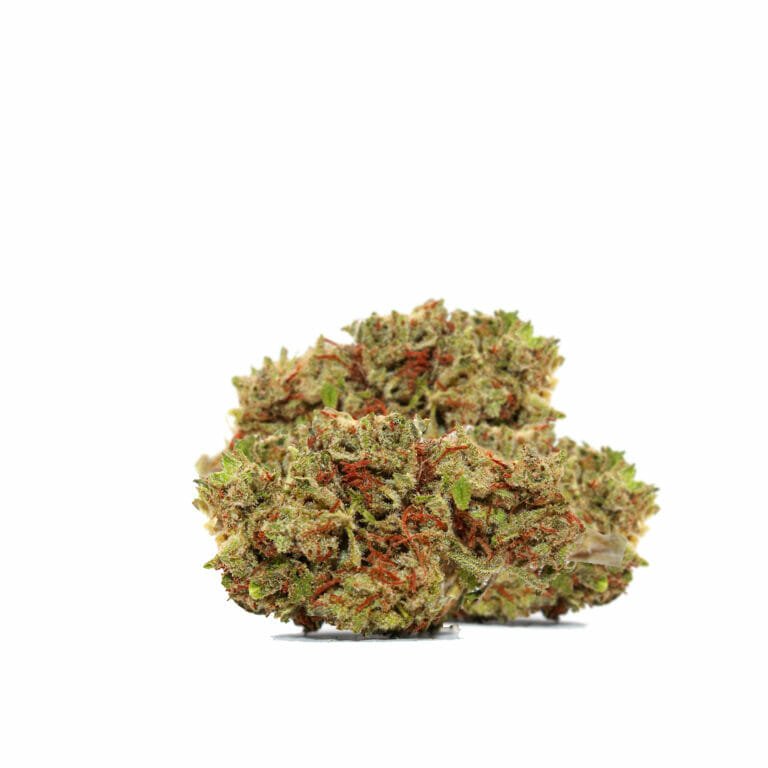 CBD Cannabis Flower - King Harvest